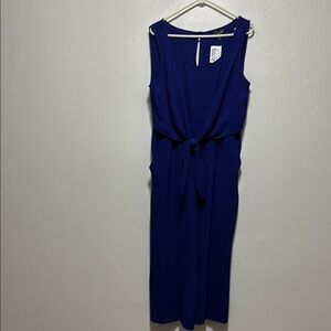 Women’s Sleeveless Blue Jumpsuit - NWT